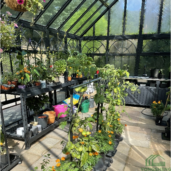 Interior view of steel‑frame glass conservatory, filled with potted vegetables, flowering plants and plant shelving