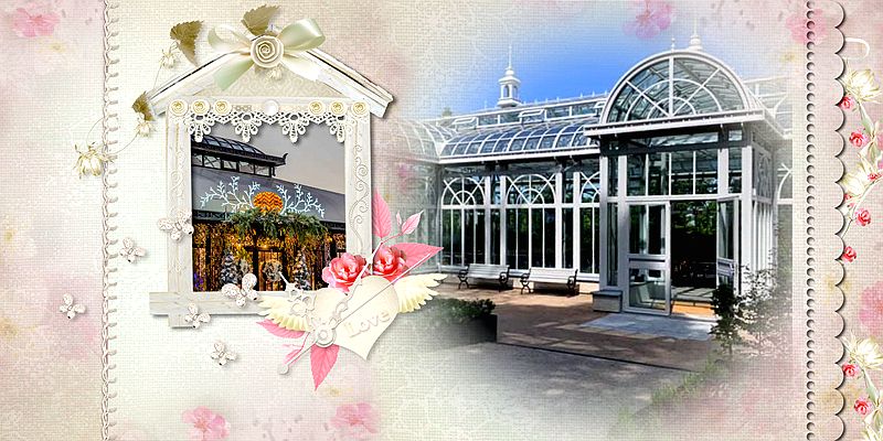 Victorian Greenhouse Vs. Traditional Venues: Which Is Right For You?