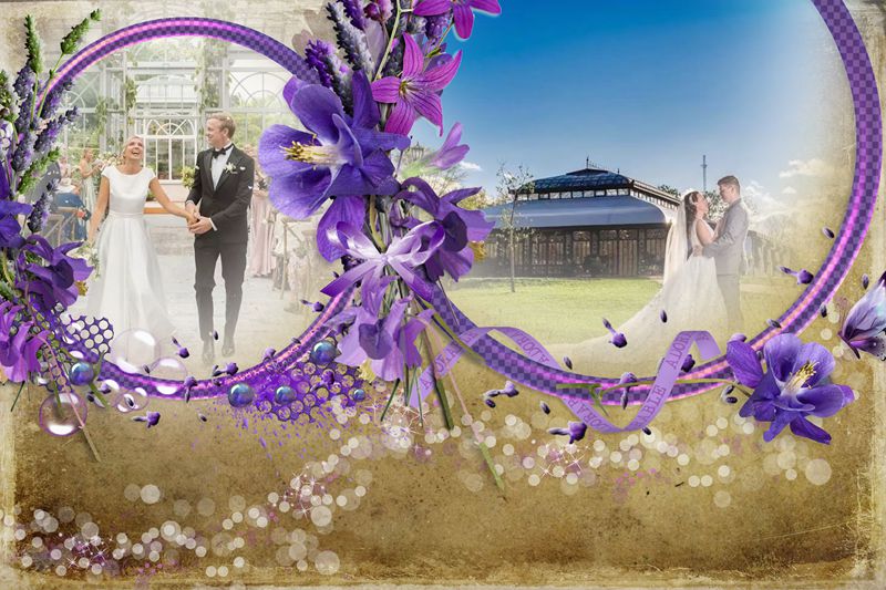 Victorian Greenhouse Vs. Traditional Venues: Which Is Right For You?