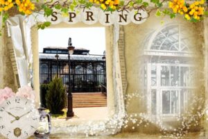 The Airbnb Host Earning 40% More With a Victorian Glasshouse Addition