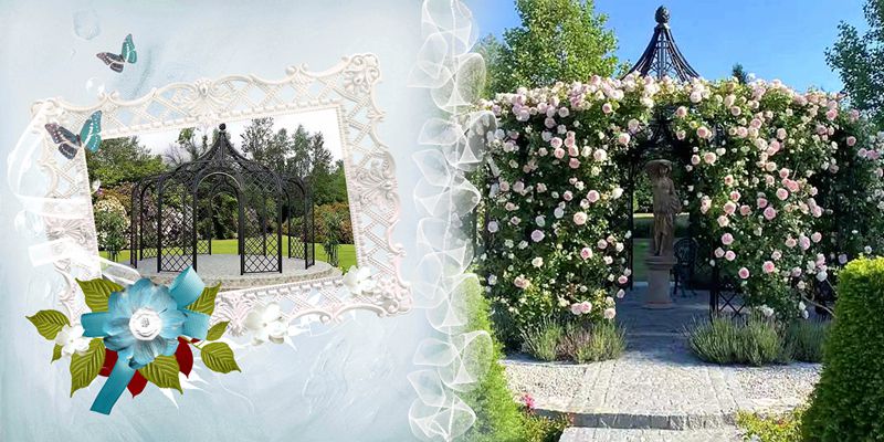 Gardening & Diy 5 Best Climbing Plants For Your Gazebo (plus Care Tips!)