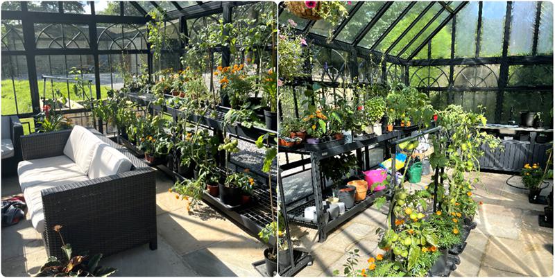 Real Life Victorian Greenhouse Tour: See How This Gardener Maximizes Space