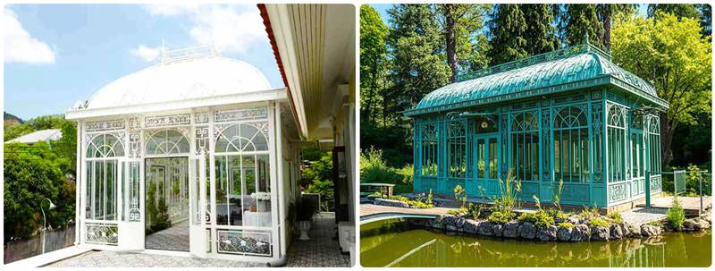 Victorian greenhouse Summer guide