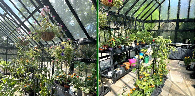Why Valentina Chose A Victorian Greenhouse For Their Botanical Retreat