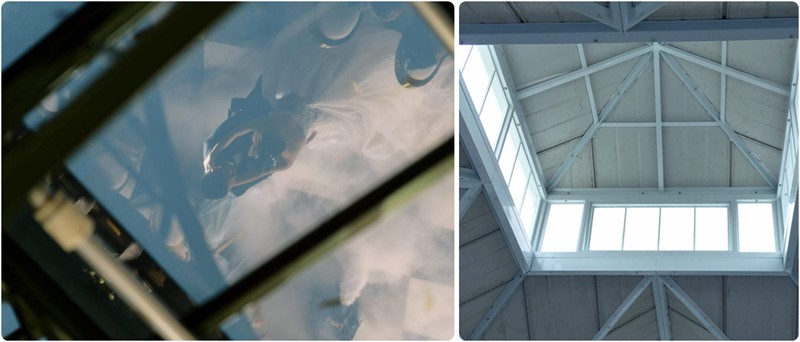 10 Must Know Tips For Maintaining A Victorian Greenhouse Year Round