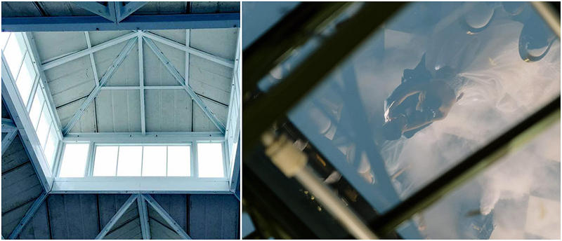 Classic Vs. Modern: Upgrading Your Victorian Greenhouse With Smart Tech