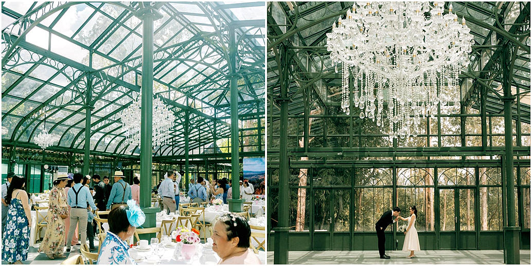 An elegant greenhouse wedding reception under the glass.