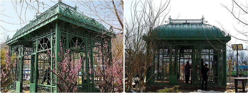 The Ultimate Victorian Greenhouse Guide: Maximizing Space & Efficiency