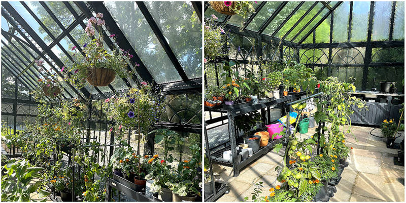 Why Every Garden Needs A Victorian Greenhouse (and How To Choose Yours)