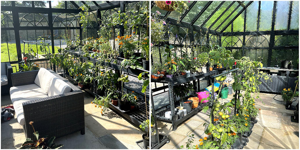 glass greenhouse for garden