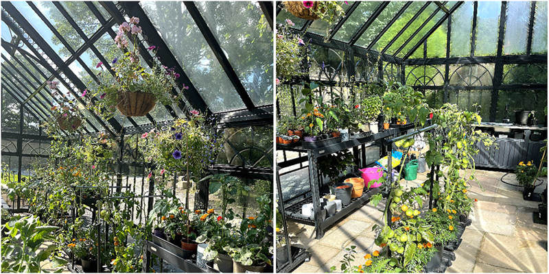 Year Round Gardening: What To Grow In A Victorian Greenhouse Each Season