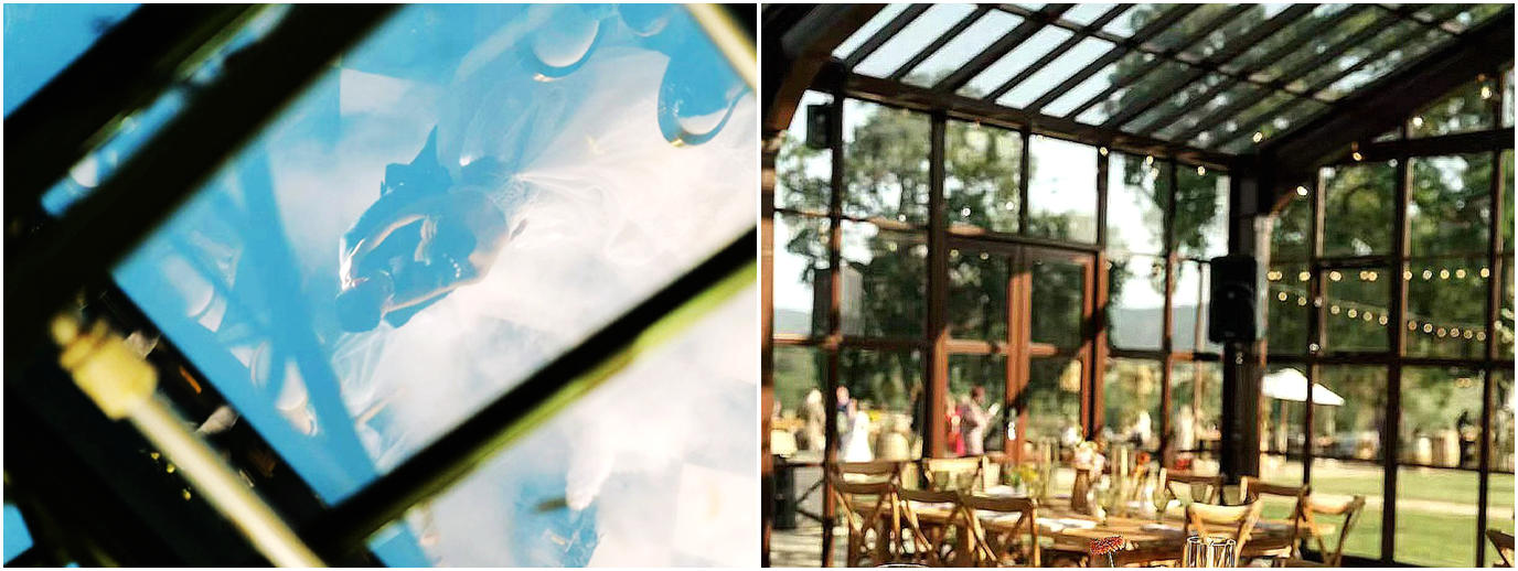 A well-ventilated greenhouse with open roof vents and lush summer plants