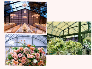 Victorian Greenhouse Conservatory Installation: DIY or Hire a Pro?