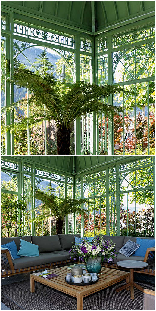 Year Round Blooms: How A Victorian Greenhouse Conservatory Saved This Flower Farm