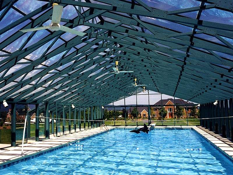 Metal Greenhouse With Swimming Pool Ysgh 174