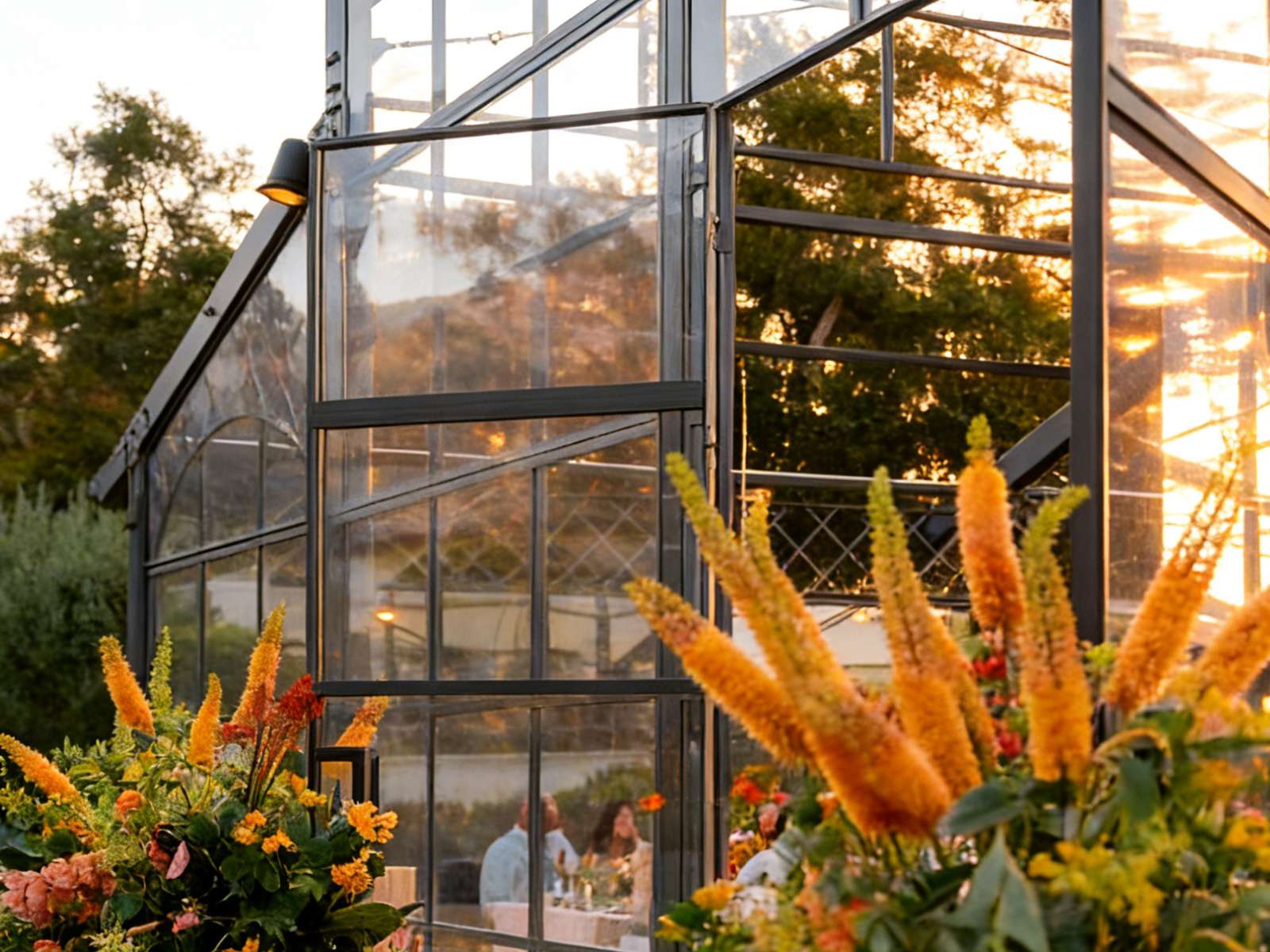 Close‑up view of black metal glass greenhouse wall with vibrant orange flowers in foreground, golden hour sunlight